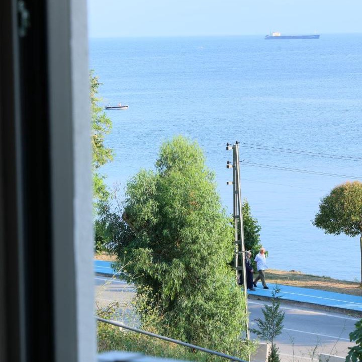 Photo of Others in Sinop