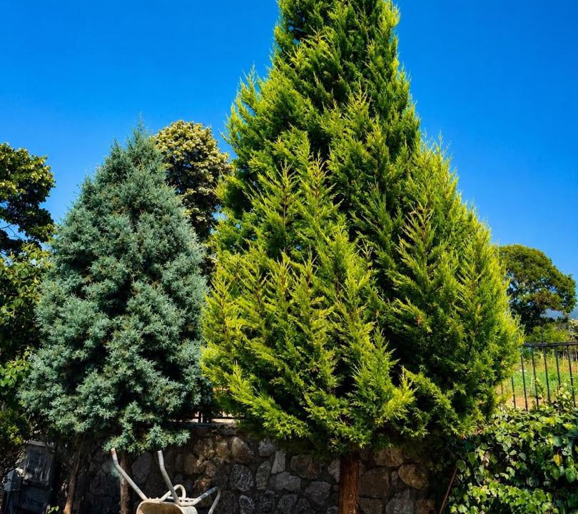 Photo of Others in Bartin
