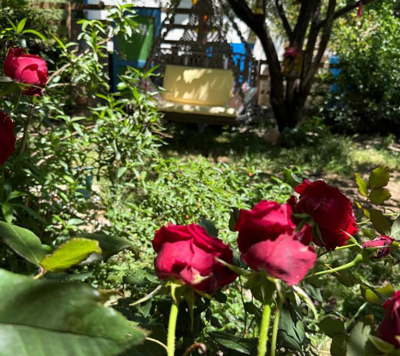 Photo of Outdoor in Kalekoy Koyu