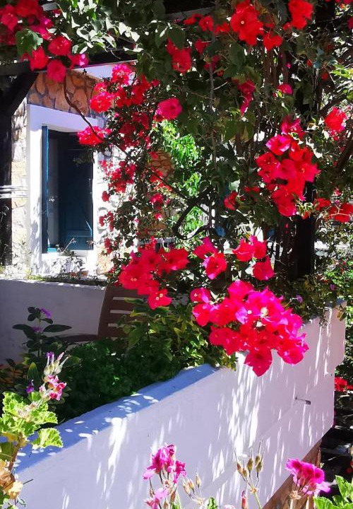 Photo of Others in Oludeniz City Center