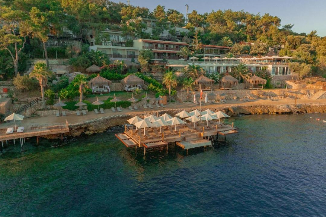 Photo of Others in Torba
