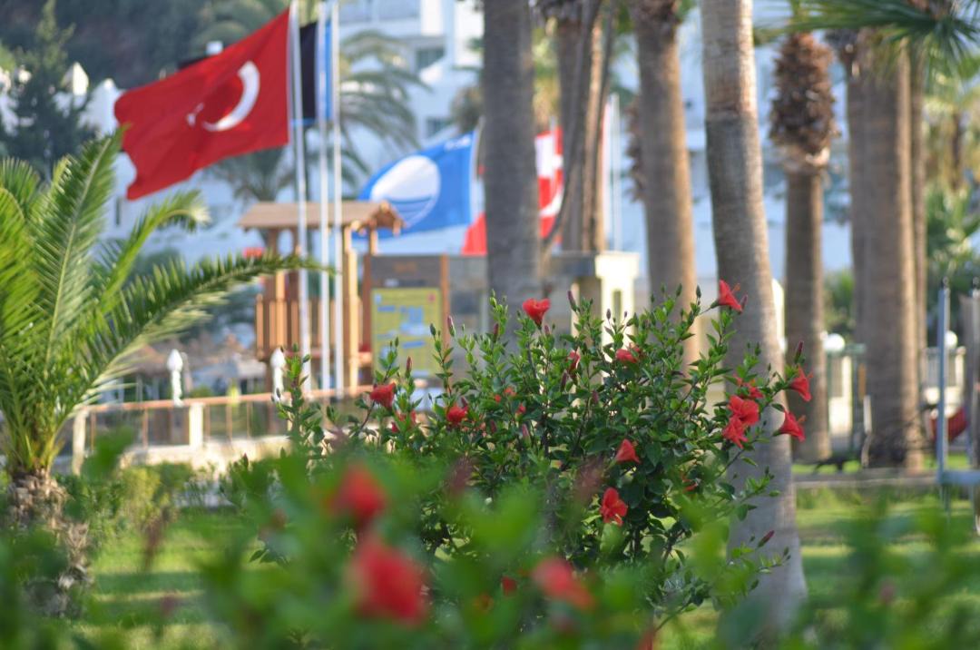 Photo of Others in Bodrum City Center