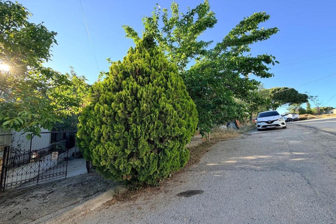 Photo of Others in Iskele Mahallesi
