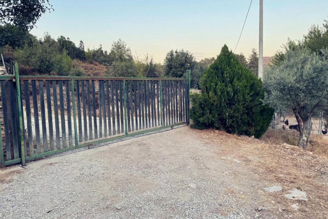 Photo of Outdoor in Milas