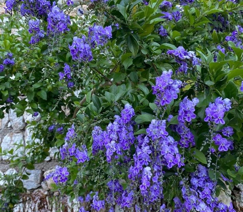Photo of Outdoor in Marmaris