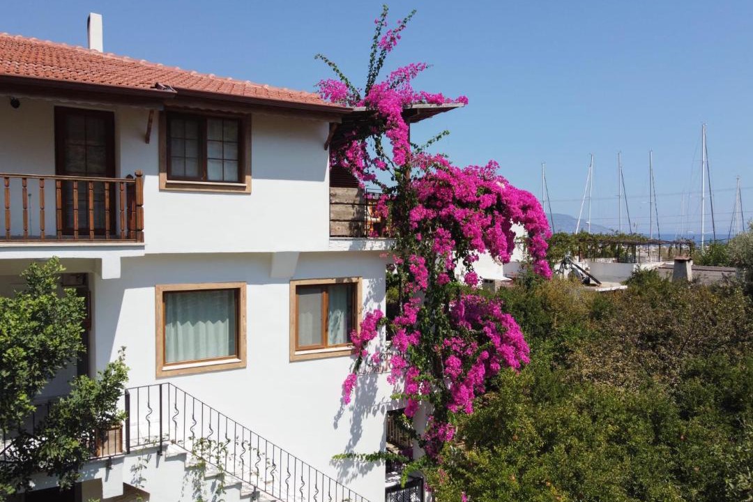 Photo of Others in Datca