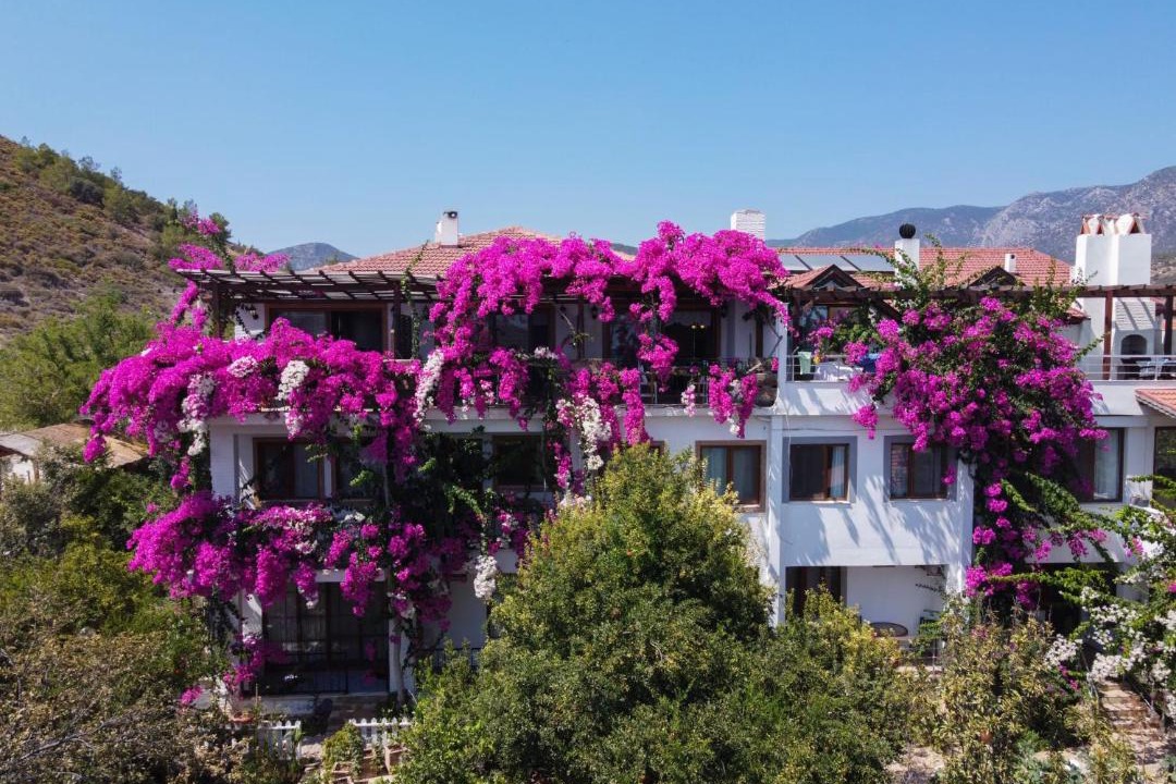 Photo of Others in Datca