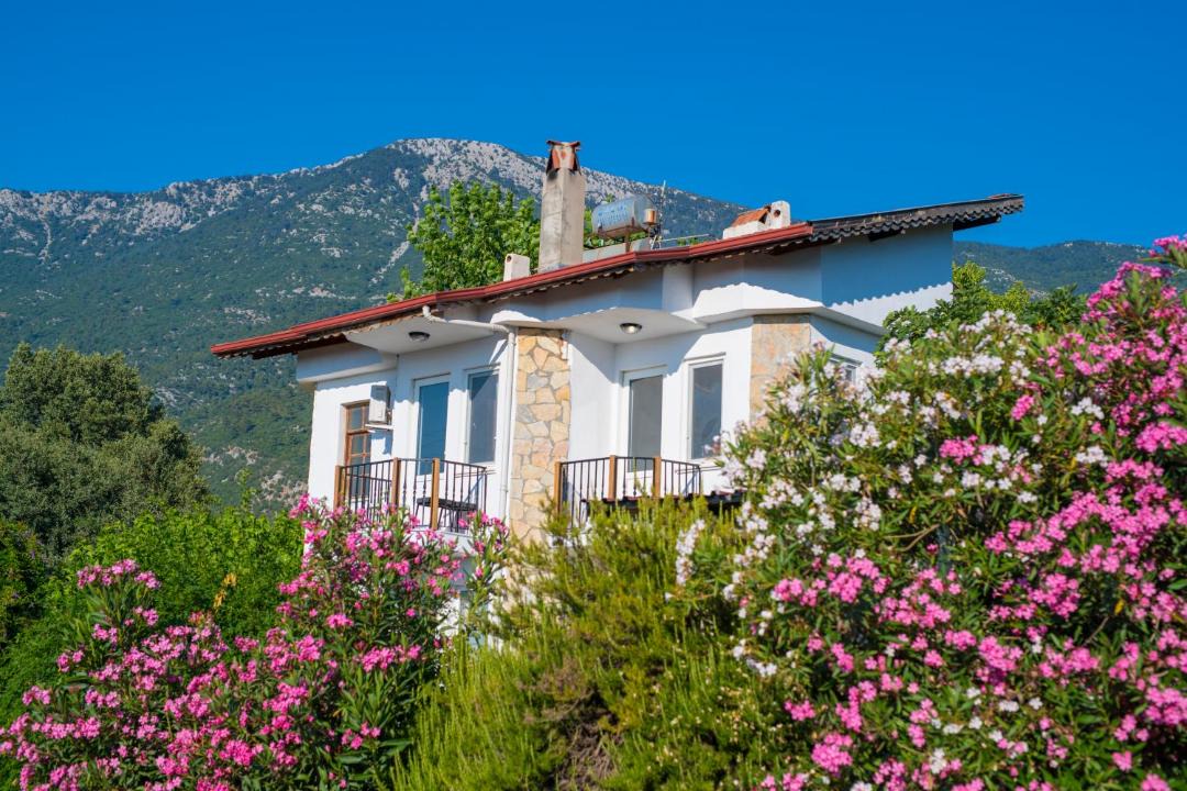 Photo of Others in Oludeniz