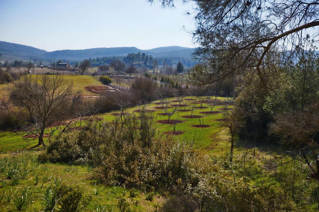 Photo of Others in Menderes