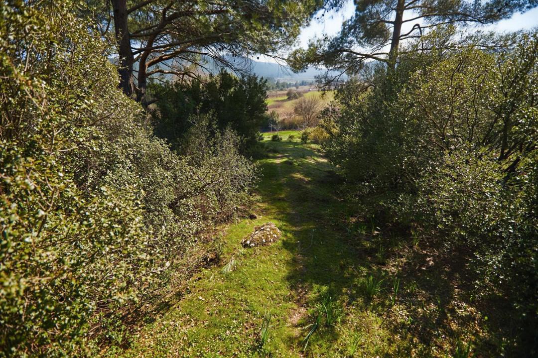 Photo of Outdoor in Menderes