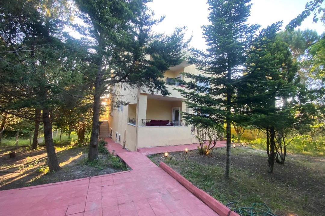 Photo of Others in Arnavutkoy