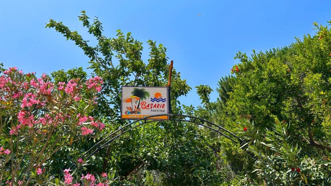 Photo of Others in Ayvacik
