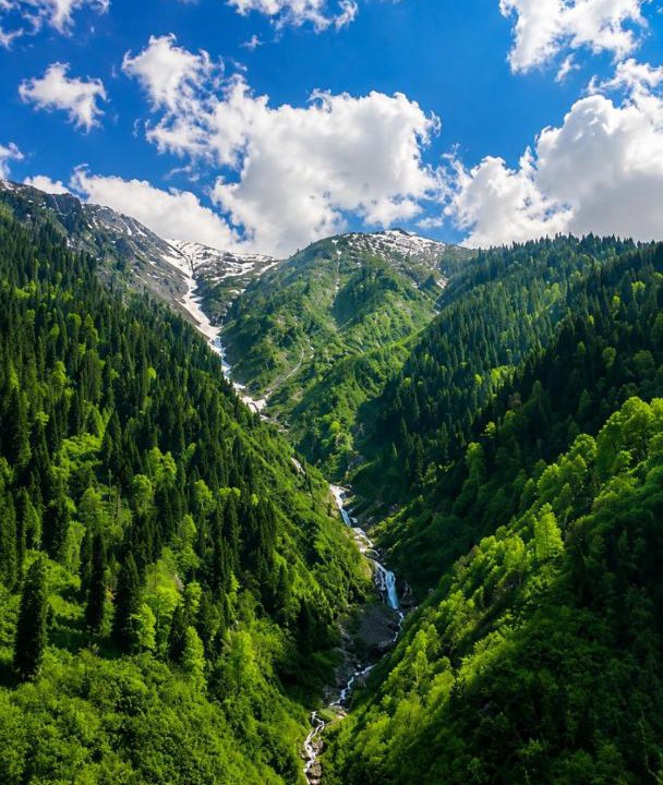 Photo of Others in Ayder Yaylasi