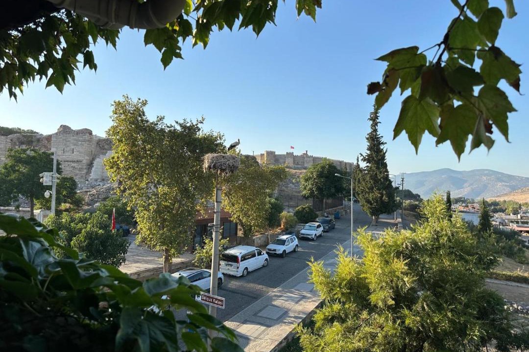 Photo of Others in Selcuk