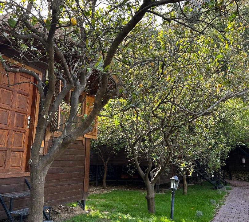 Photo of Others in Olympos