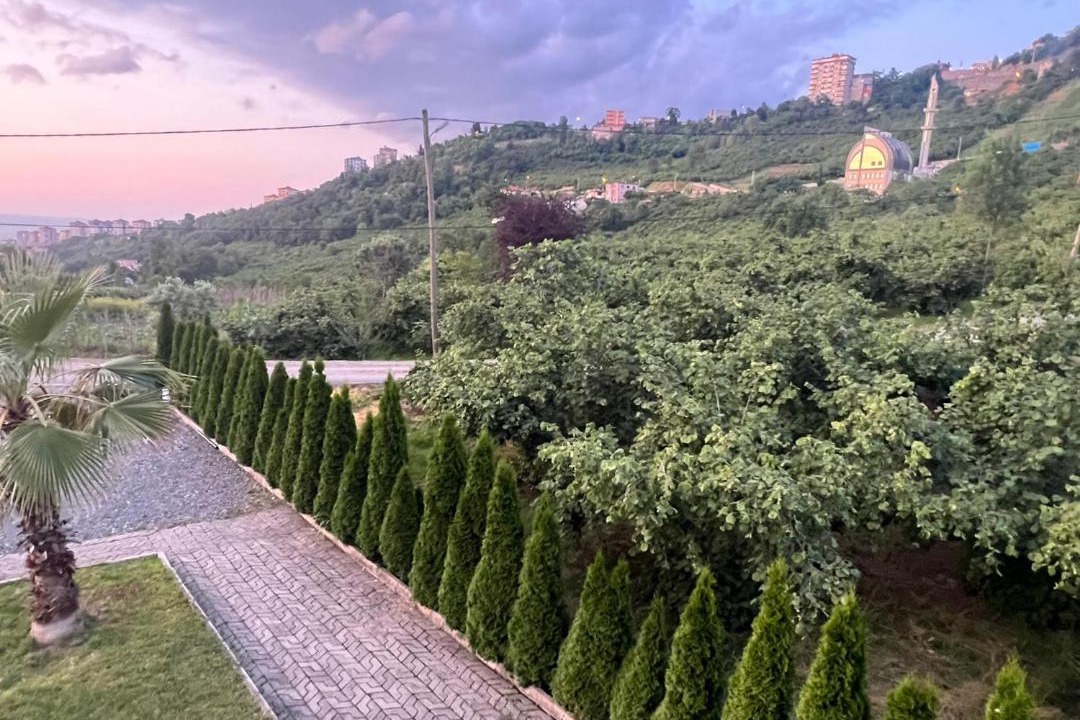 Photo of Others in Trabzon