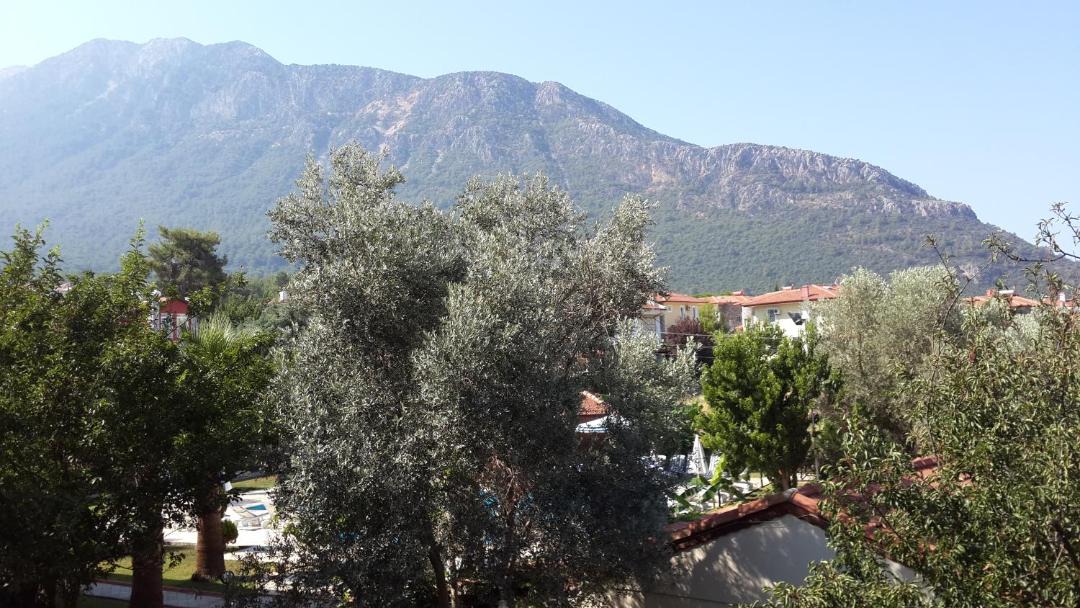 Photo of Others in Oludeniz