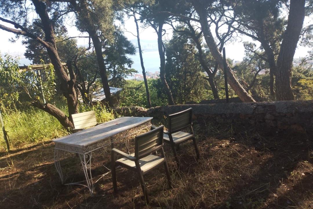 Photo of Others in Adalar