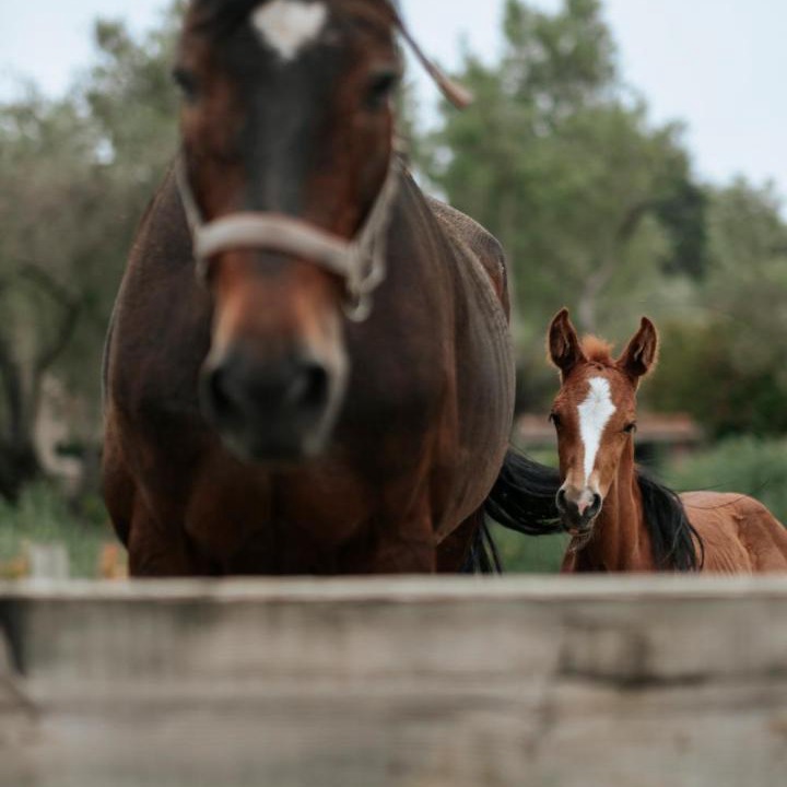 Photo of Others in Urla