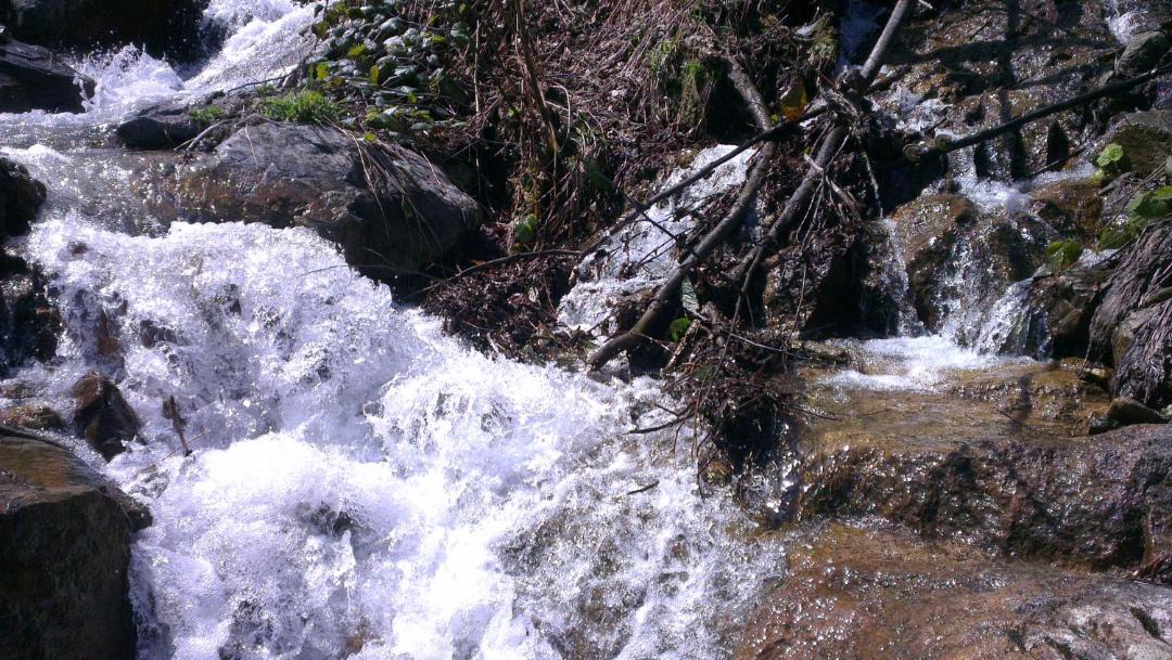 Photo of Others in Atakoy