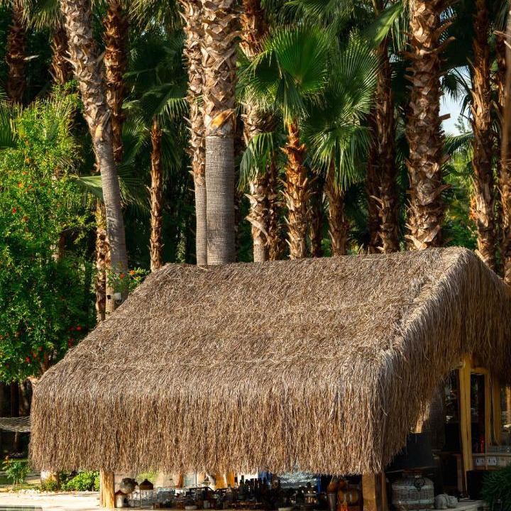 Photo of Others in Fethiye