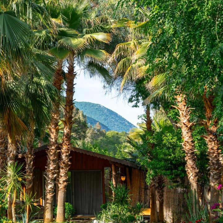 Photo of Others in Fethiye