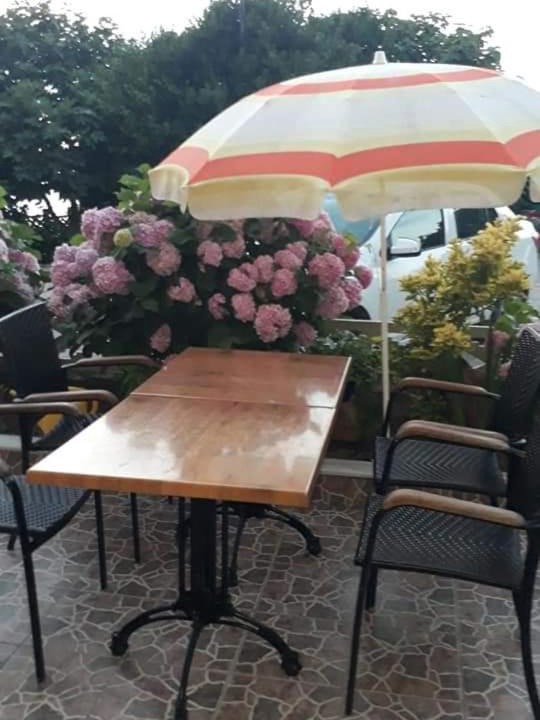 Photo of Others in Sinop