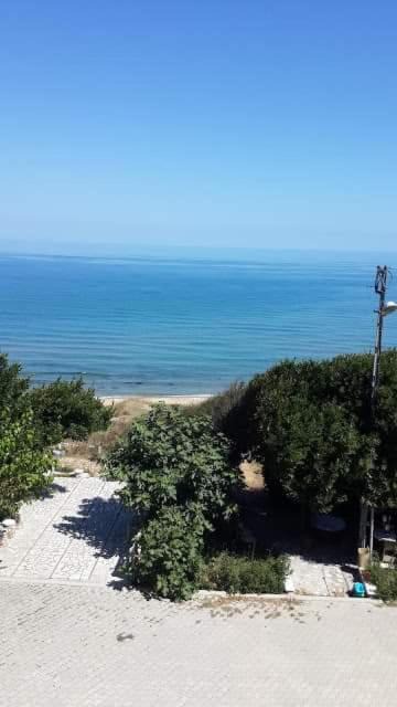 Photo of Others in Sinop