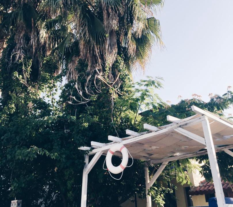 Photo of Others in Fethiye City Center