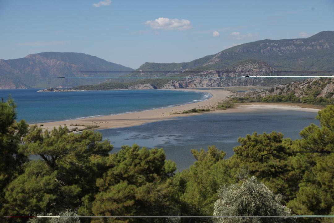 Photo of Others in Dalyan City Center