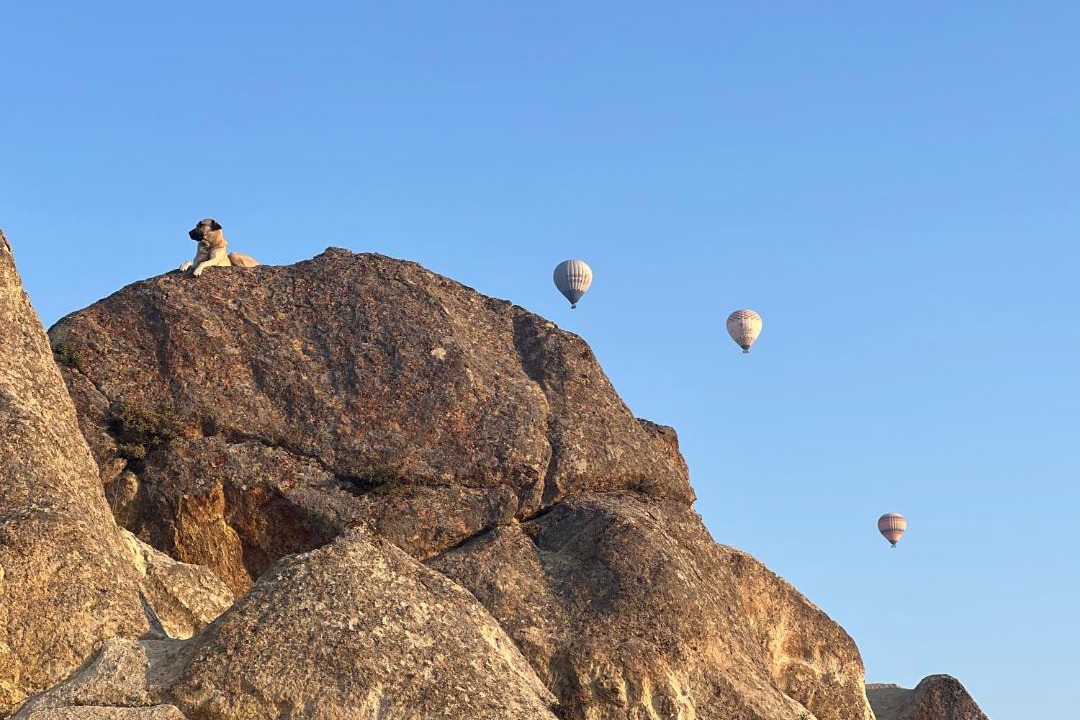 Photo of Others in Ortahisar
