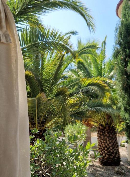 Photo of Others in Oludeniz
