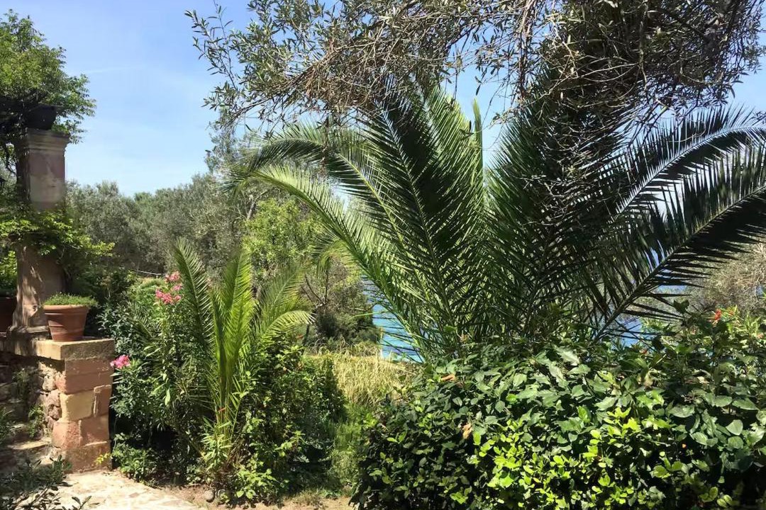 Photo of Others in Bademli