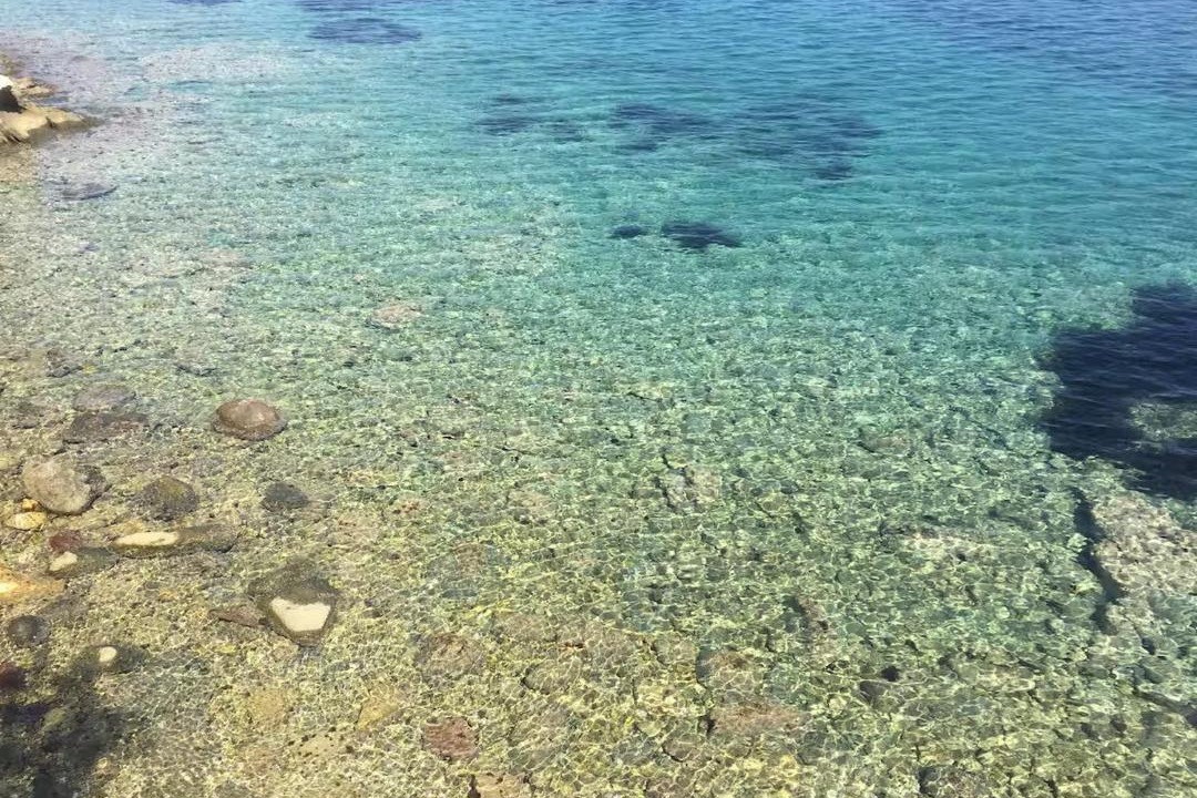 Photo of Others in Bademli
