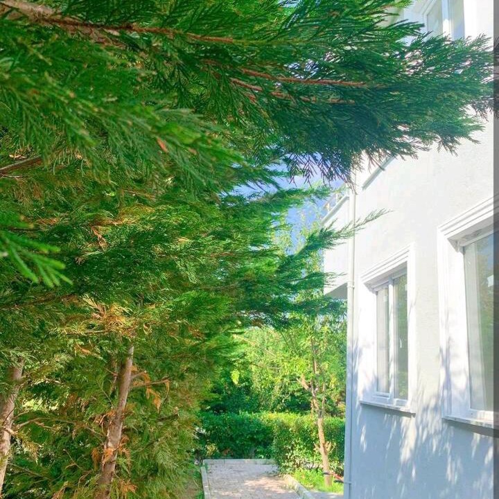 Photo of Others in Arnavutkoy