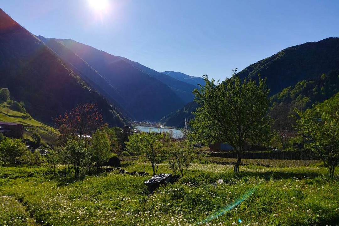 Photo of Others in Uzungol