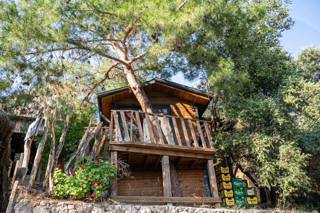 Photo of Others in Kabak Valley