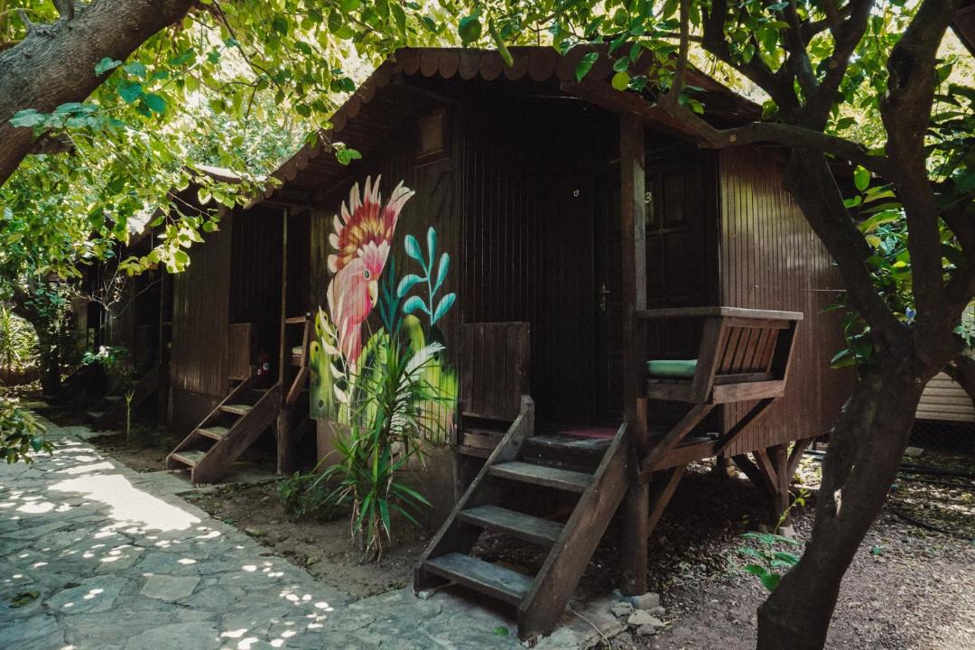 Photo of Others in Olympos