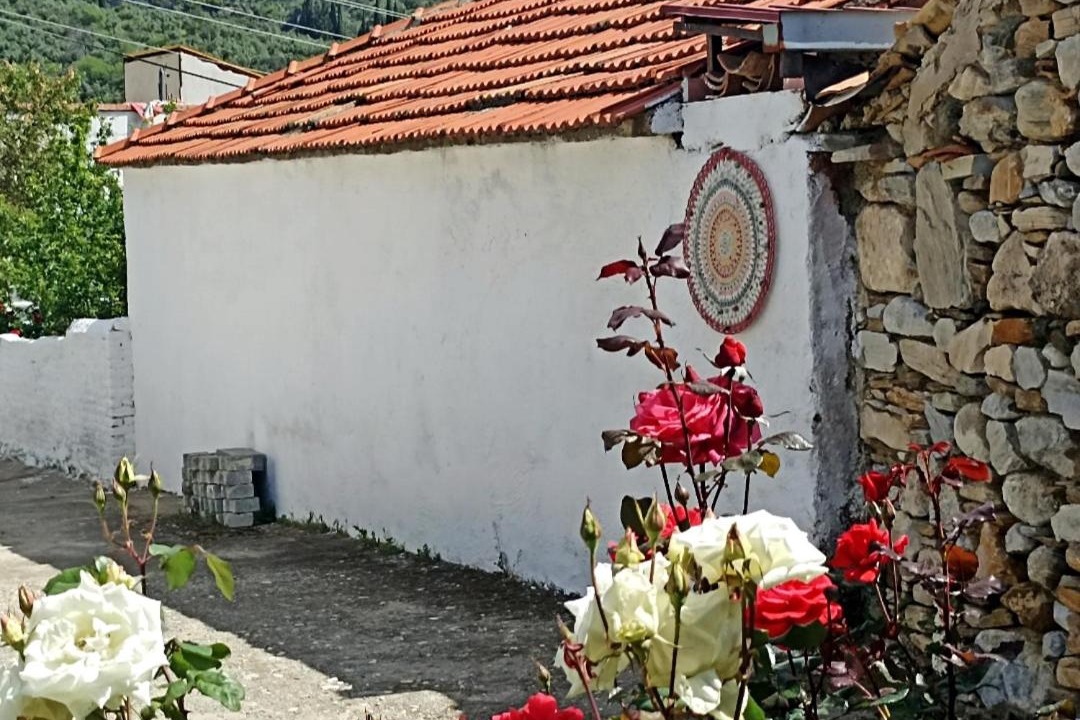 Photo of Others in Gullubahce