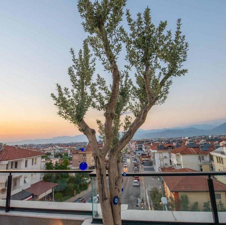 Photo of Others in Fethiye