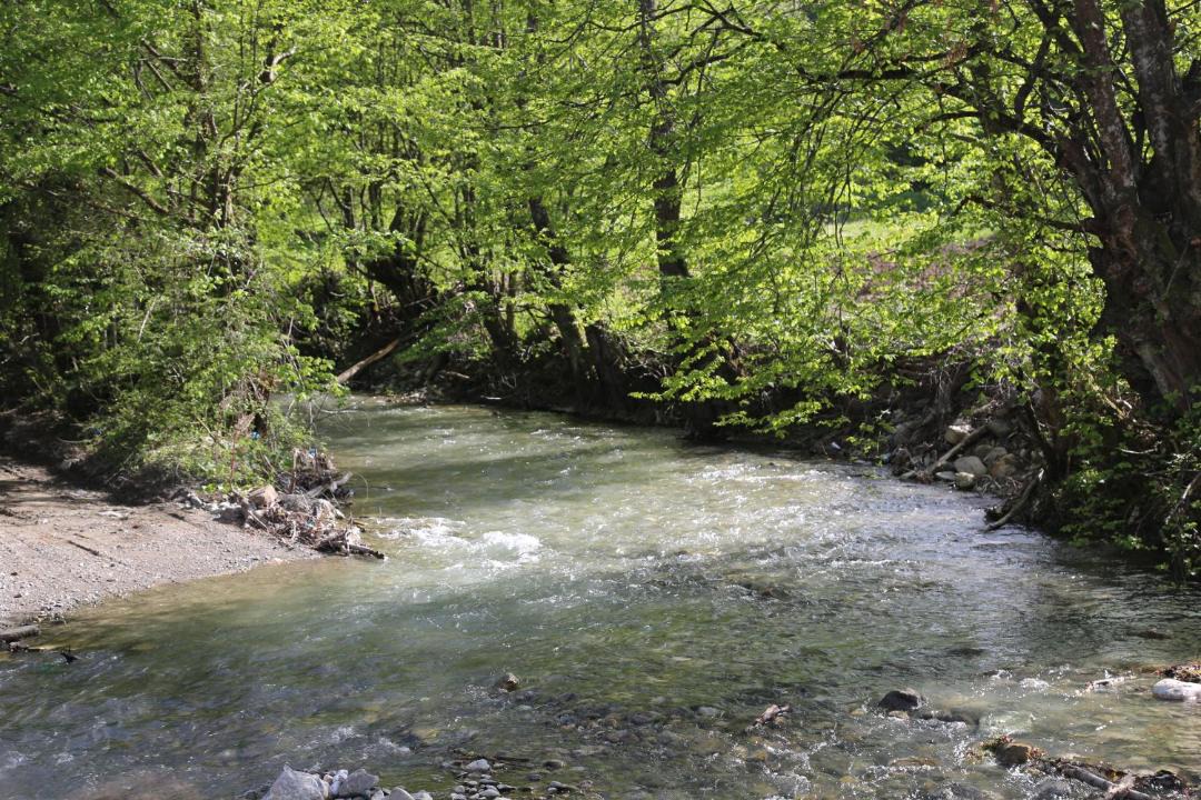 Photo of Others in Bolu