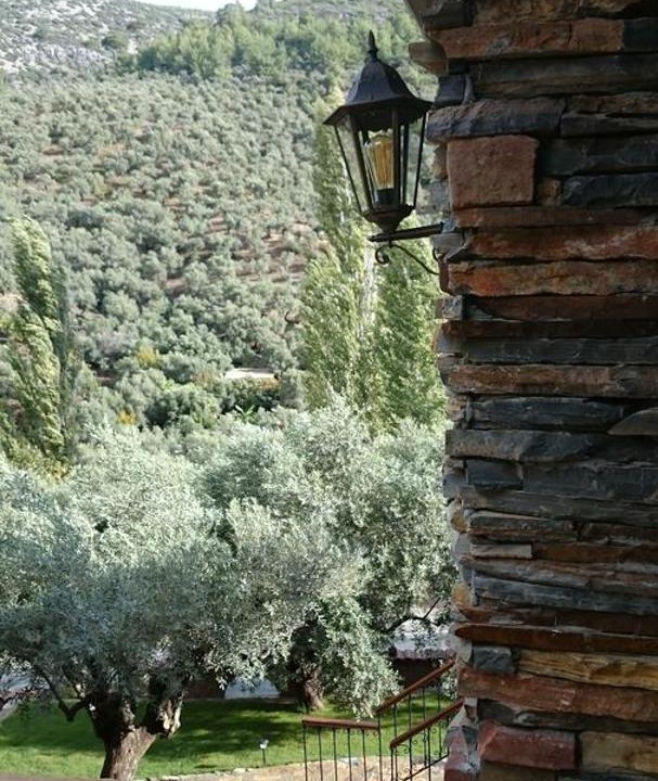 Photo of Others in Selcuk