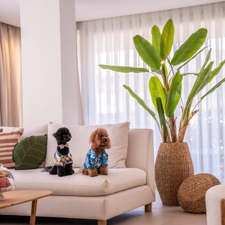 Photo of Livingroom in Serik