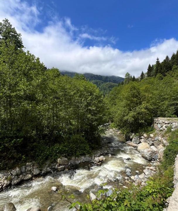 Photo of Others in Ayder
