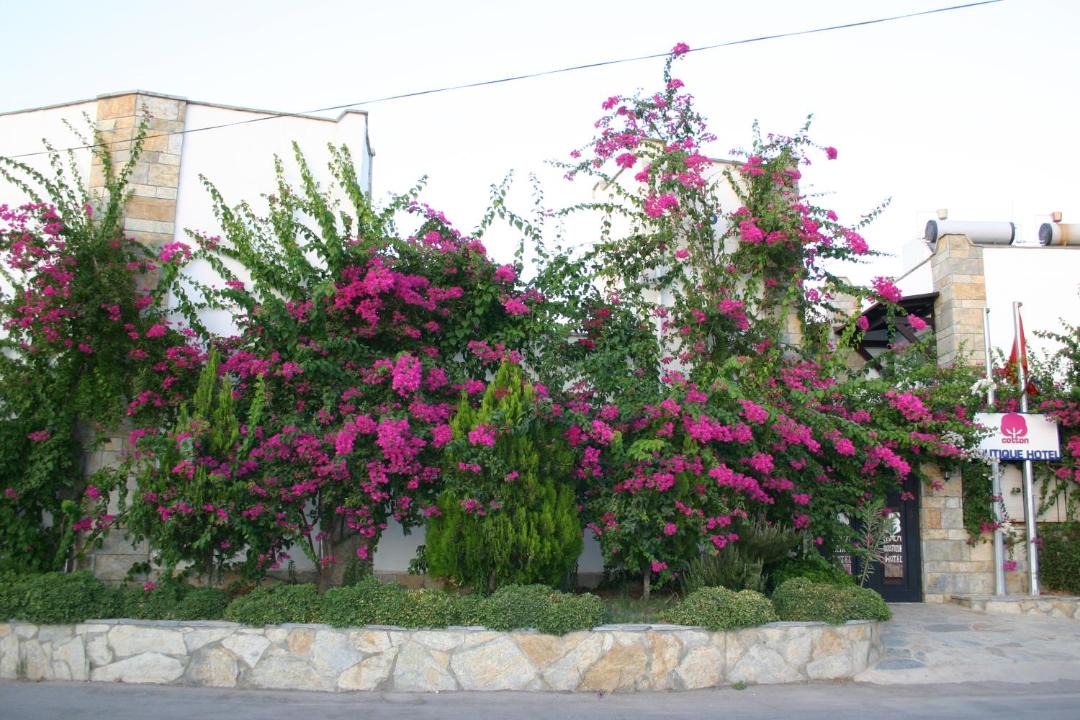 Photo of Others in Bodrum City Center