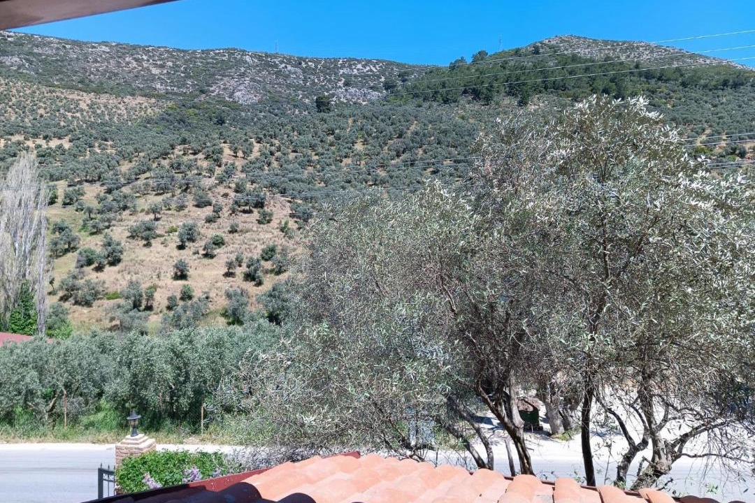 Photo of Others in Selcuk