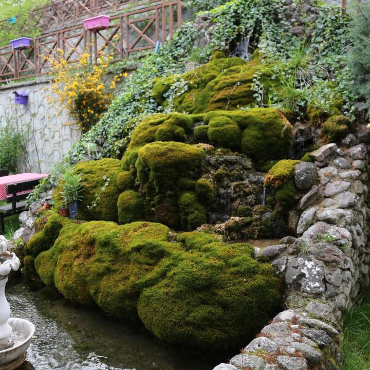 Photo of Others in Bolu