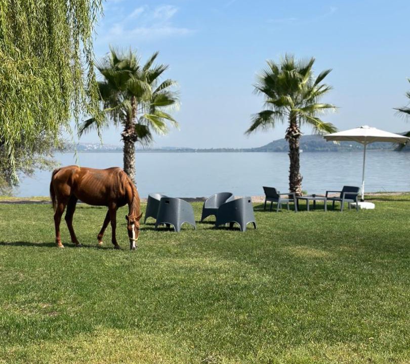 Photo of Others in Sapanca