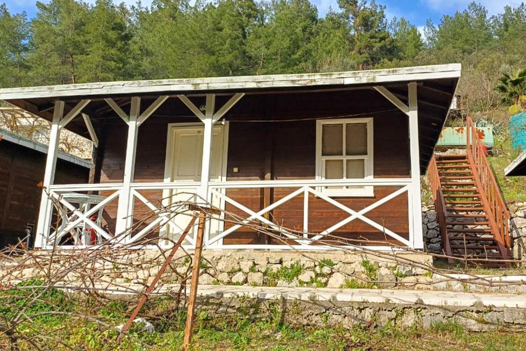 Photo of Others in Olympos
