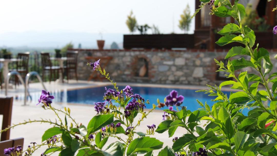 Photo of Others in Selcuk